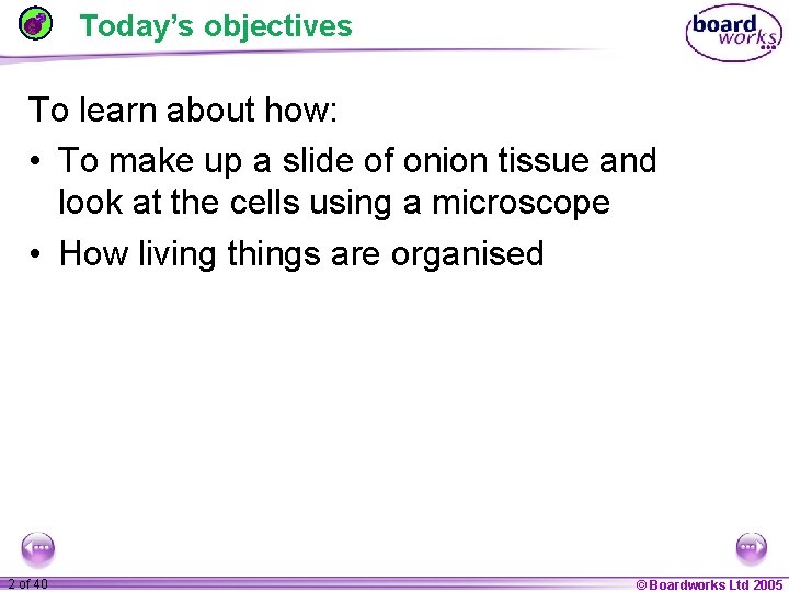 Today’s objectives To learn about how: • To make up a slide of onion