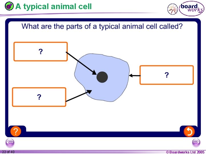 A typical animal cell 1 22 ofof 20 40 © Boardworks Ltd 2005 2004