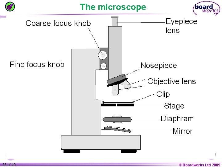 The microscope 1 26 ofof 20 40 © Boardworks Ltd 2005 2004 