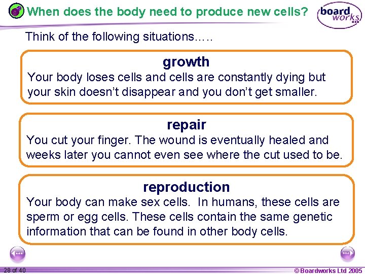 When does the body need to produce new cells? Think of the following situations….