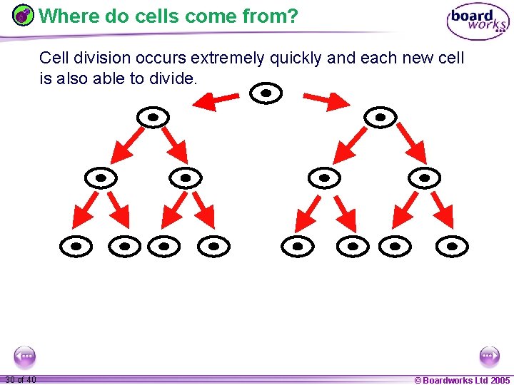 Where do cells come from? Cell division occurs extremely quickly and each new cell
