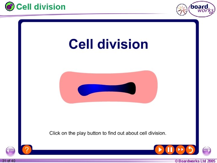 Cell division 1 31 ofof 20 40 © Boardworks Ltd 2005 2004 