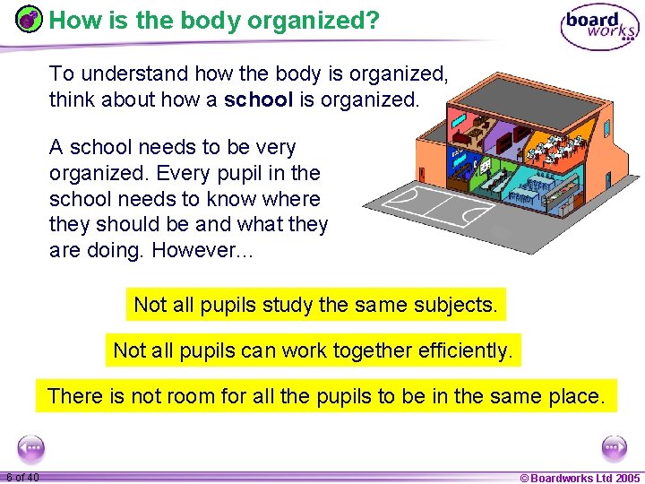 How is the body organized? To understand how the body is organized, think about