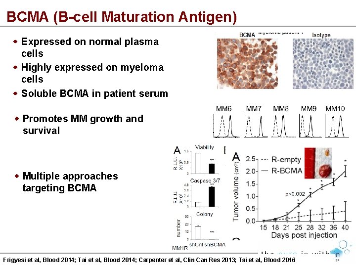 BCMA (B-cell Maturation Antigen) Expressed on normal plasma cells Highly expressed on myeloma cells