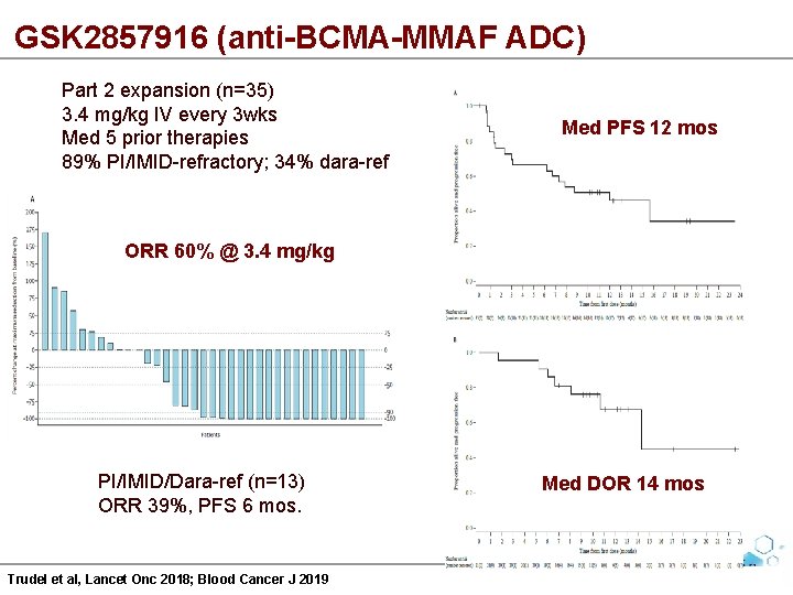 GSK 2857916 (anti-BCMA-MMAF ADC) Part 2 expansion (n=35) 3. 4 mg/kg IV every 3