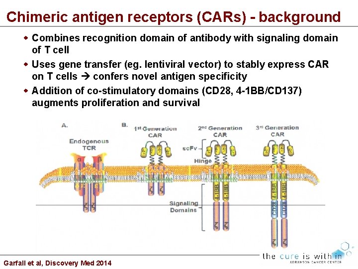 Chimeric antigen receptors (CARs) - background Combines recognition domain of antibody with signaling domain