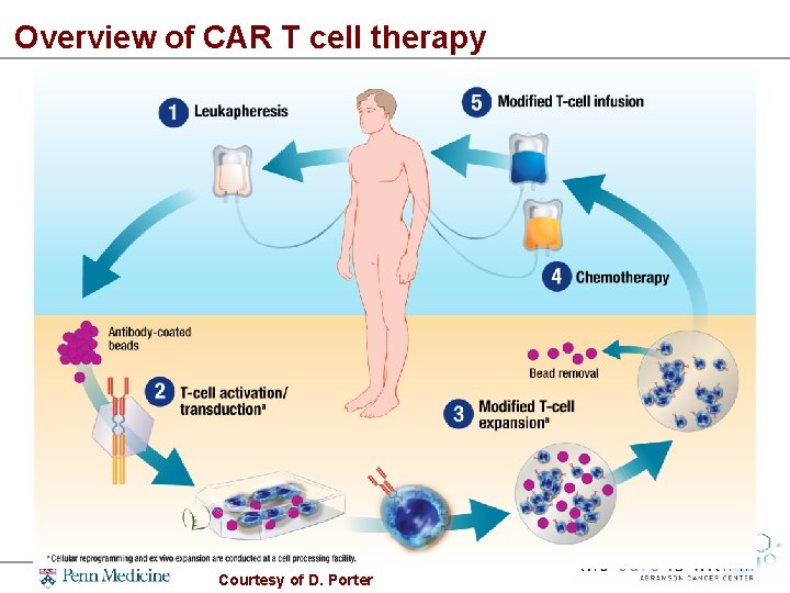 Overview of CAR T cell therapy Courtesy of D. Porter 