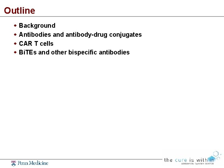 Outline Background Antibodies and antibody-drug conjugates CAR T cells Bi. TEs and other bispecific