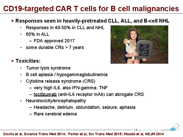 CD 19 -targeted CAR T cells for B cell malignancies Responses seen in heavily-pretreated