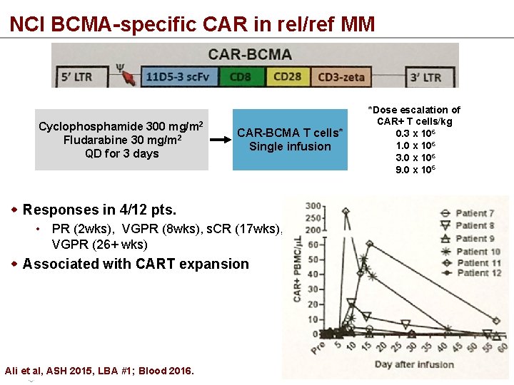 NCI BCMA-specific CAR in rel/ref MM Cyclophosphamide 300 mg/m 2 Fludarabine 30 mg/m 2