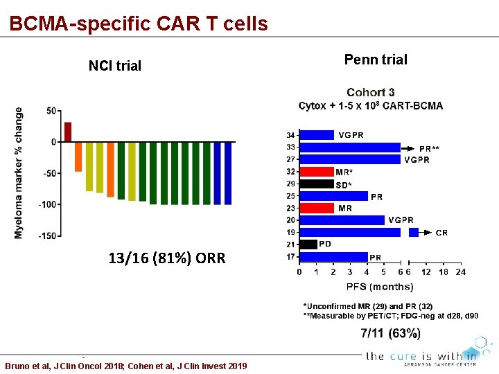 BCMA-specific CAR T cells NCI trial 13/16 (81%) ORR Bruno et al, J Clin