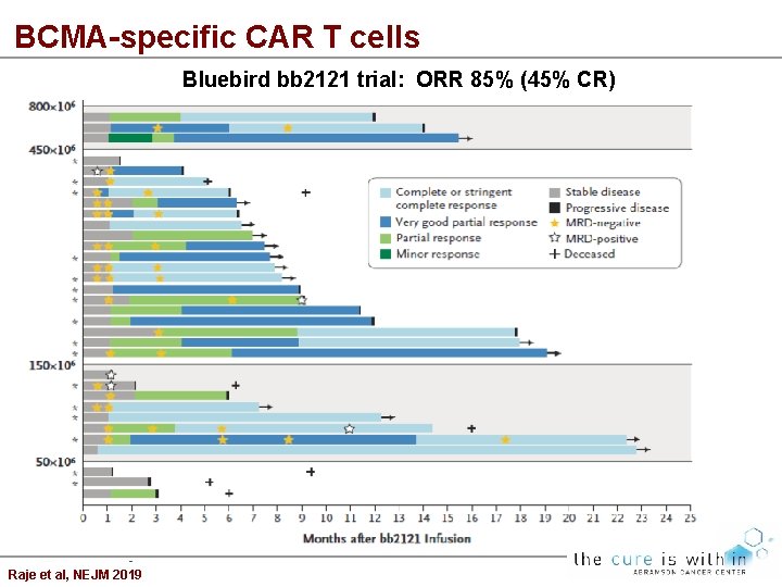 BCMA-specific CAR T cells Bluebird bb 2121 trial: ORR 85% (45% CR) Raje et