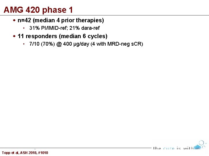 AMG 420 phase 1 n=42 (median 4 prior therapies) • 31% PI/IMID-ref; 21% dara-ref