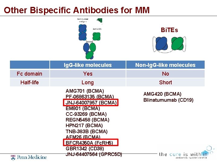 Other Bispecific Antibodies for MM Bi. TEs Ig. G-like molecules Non-Ig. G-like molecules Fc