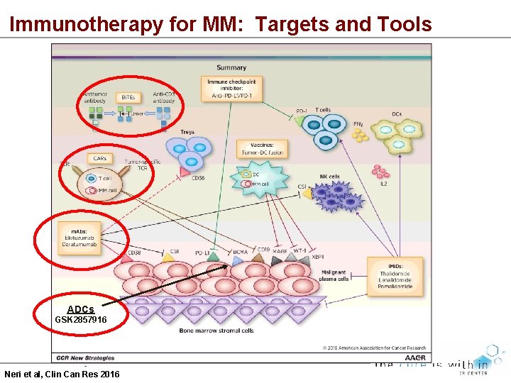 Immunotherapy for MM: Targets and Tools ADCs GSK 2857916 Neri et al, Clin Can