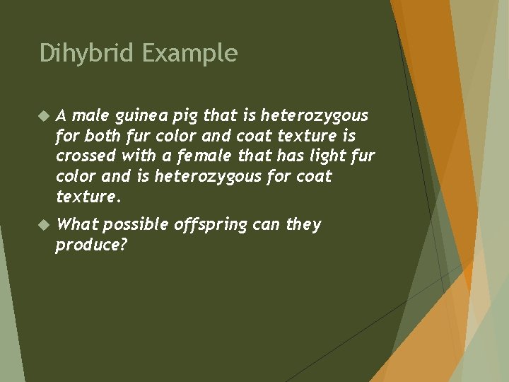 Dihybrid Example A male guinea pig that is heterozygous for both fur color and