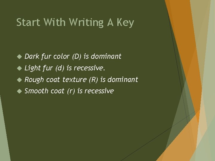 Start With Writing A Key Dark fur color (D) is dominant Light fur (d)