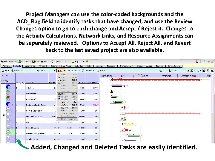 Project Managers can use the color-coded backgrounds and the ACD_Flag field to identify tasks