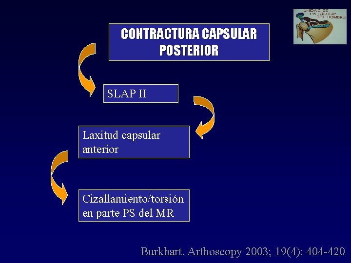 CONTRACTURA CAPSULAR POSTERIOR SLAP II Laxitud capsular anterior Cizallamiento/torsión en parte PS del MR