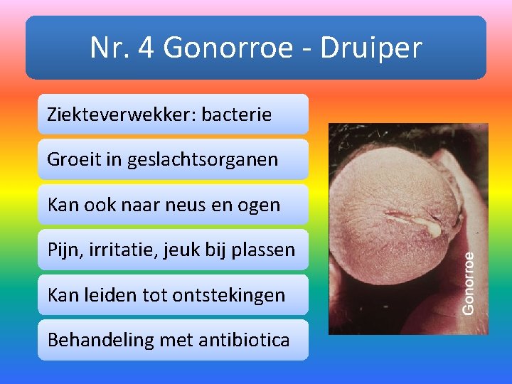 Nr. 4 Gonorroe - Druiper Ziekteverwekker: bacterie Groeit in geslachtsorganen Kan ook naar neus