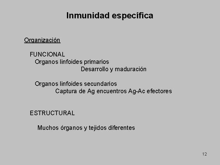 Inmunidad específica Organización FUNCIONAL Organos linfoides primarios Desarrollo y maduración Organos linfoides secundarios Captura