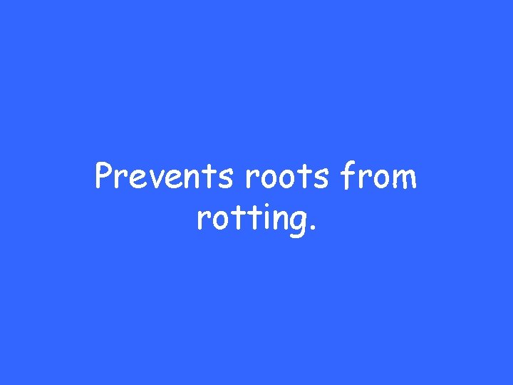 Prevents roots from rotting. 