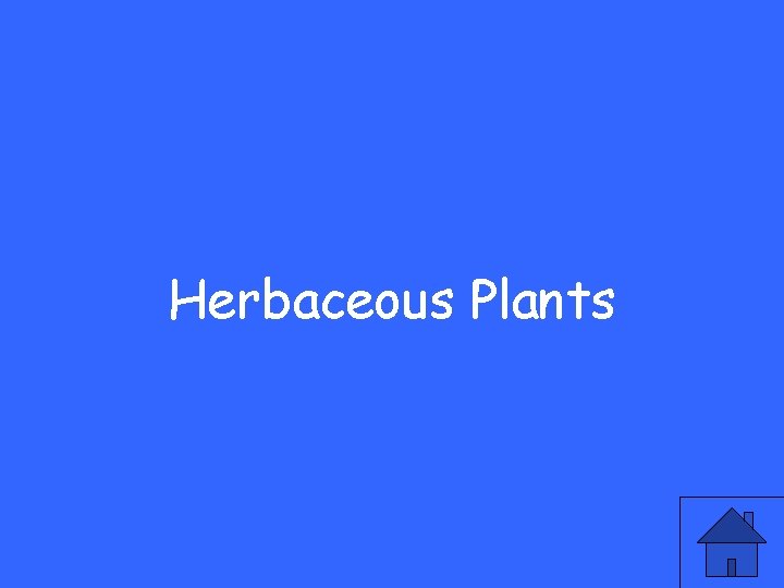 Herbaceous Plants 