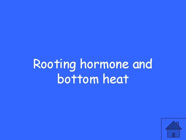 Rooting hormone and bottom heat 