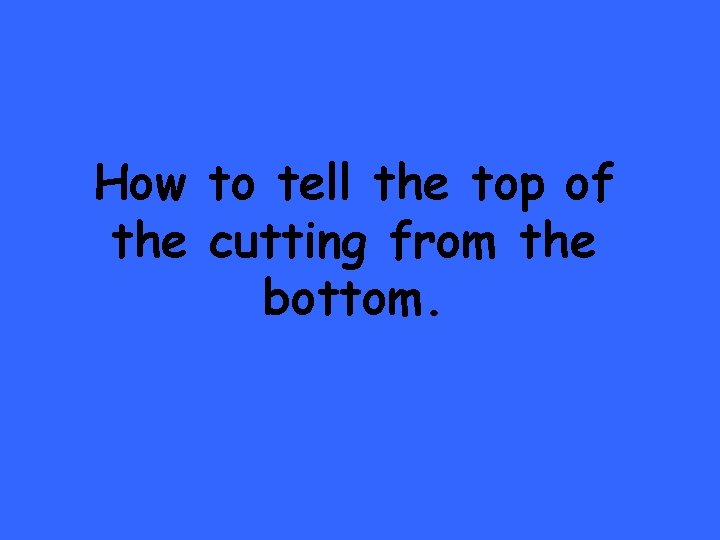 How to tell the top of the cutting from the bottom. 