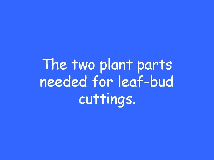 The two plant parts needed for leaf-bud cuttings. 