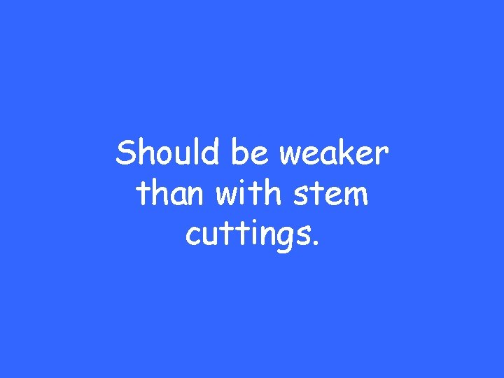 Should be weaker than with stem cuttings. 