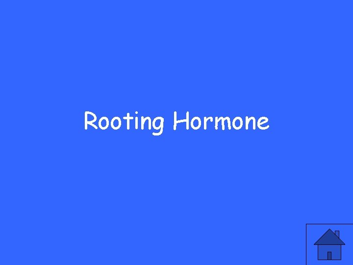 Rooting Hormone 