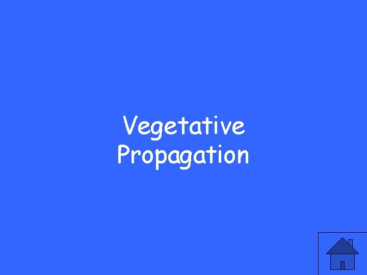 Vegetative Propagation 