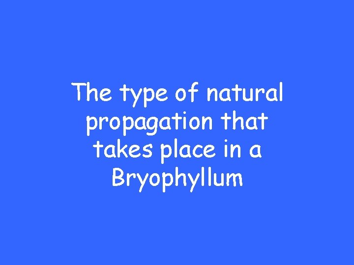 The type of natural propagation that takes place in a Bryophyllum 