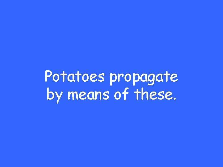 Potatoes propagate by means of these. 