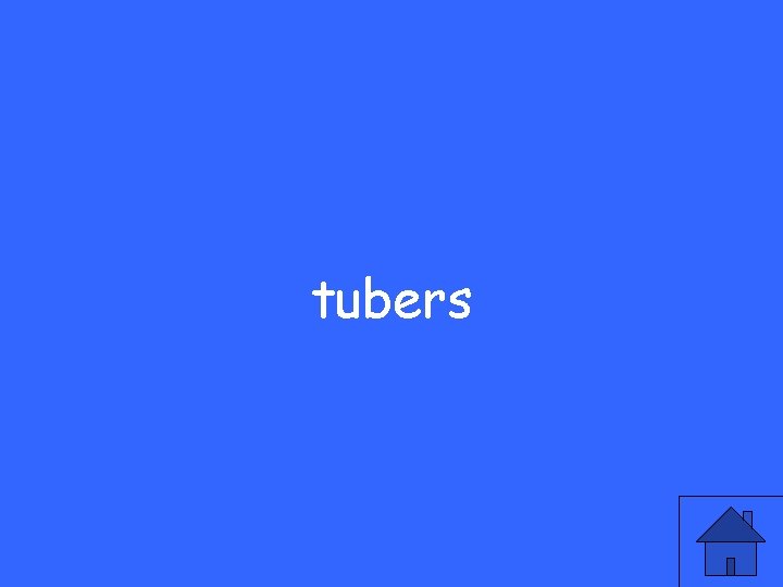 tubers 