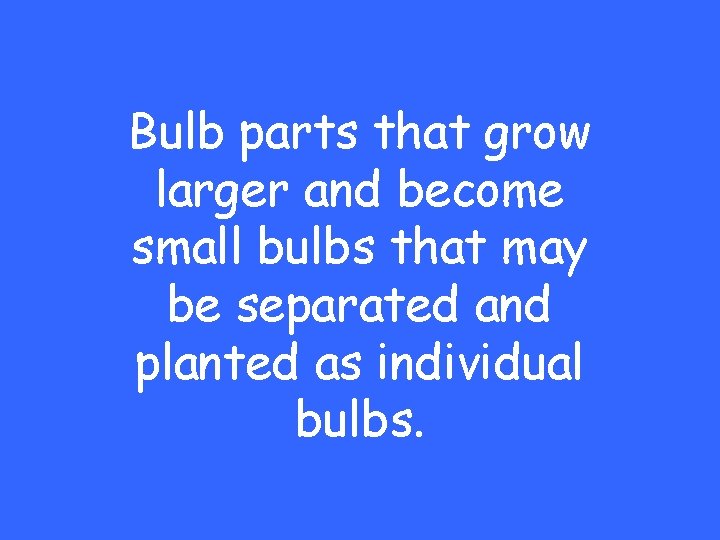 Bulb parts that grow larger and become small bulbs that may be separated and