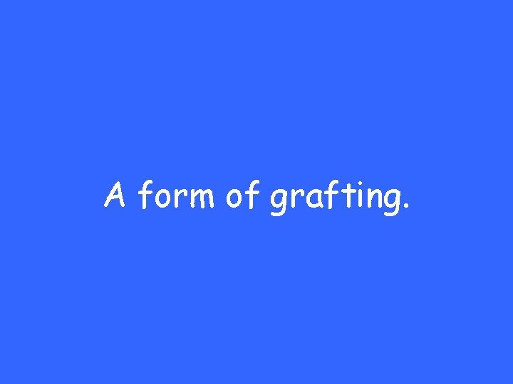 A form of grafting. 