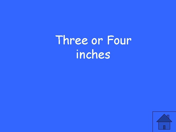 Three or Four inches 