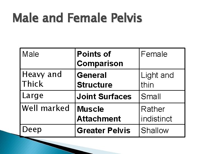 Male and Female Pelvis Male Heavy and Thick Large Points of Comparison General Structure
