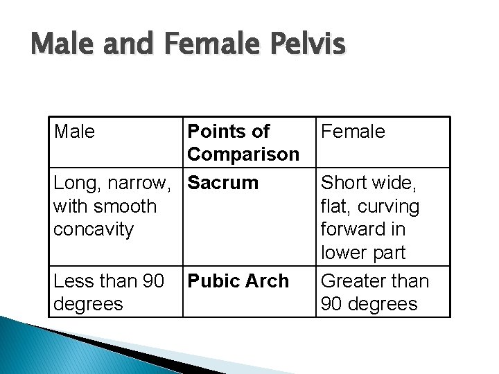 Male and Female Pelvis Male Points of Comparison Long, narrow, Sacrum with smooth concavity
