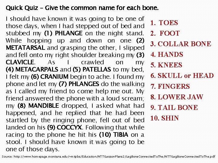 Quick Quiz – Give the common name for each bone. I should have known
