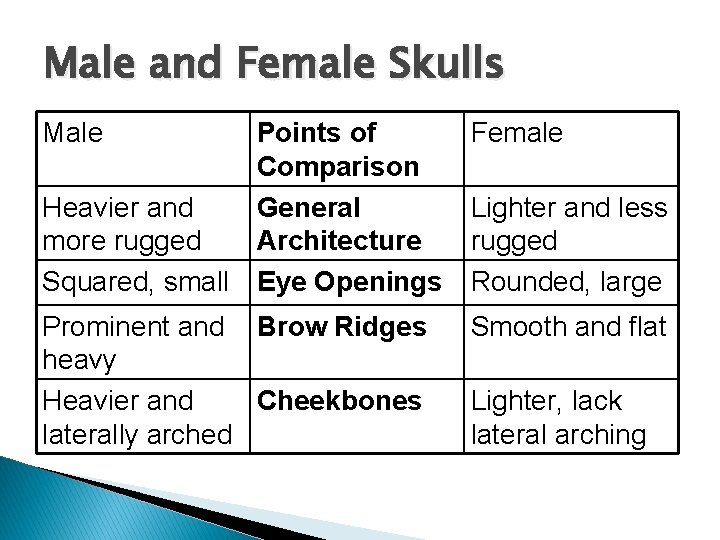 Male and Female Skulls Male Points of Comparison Heavier and General more rugged Architecture