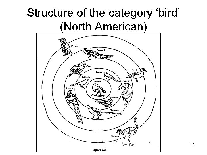 Structure of the category ‘bird’ (North American) 15 