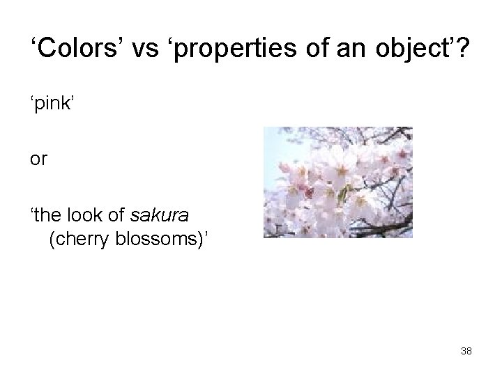 ‘Colors’ vs ‘properties of an object’? ‘pink’ or ‘the look of sakura (cherry blossoms)’