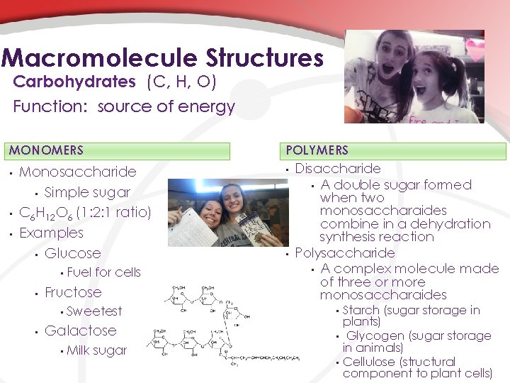 Macromolecule Structures Carbohydrates (C, H, O) Function: source of energy MONOMERS • • •