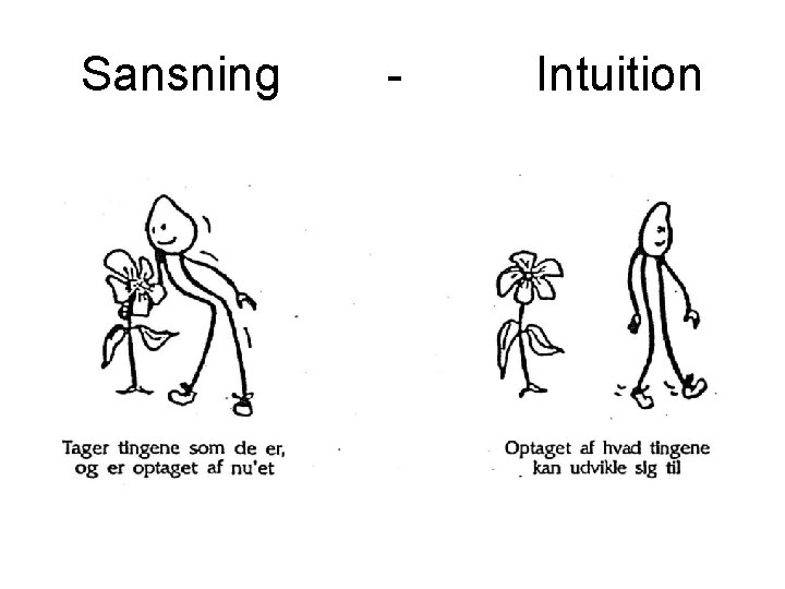 Sansning - Intuition 