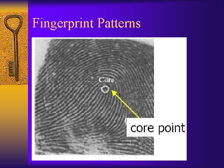 Fingerprint Patterns 