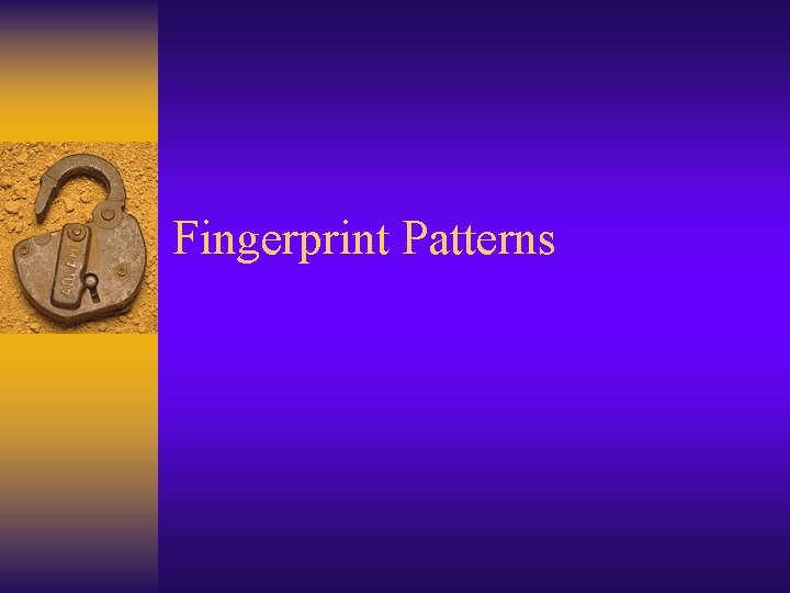 Fingerprint Patterns 