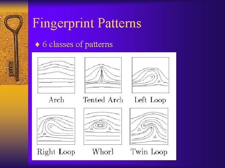 Fingerprint Patterns ¨ 6 classes of patterns 